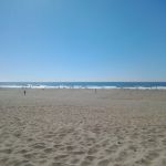 20250915_beach1.jpg